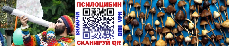Галлюциногенные грибы ЛСД  Купить где  Приволжск 
